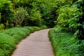 Nature view of Japanese garden and Stone Walk Way Path Middle Garden background Royalty Free Stock Photo