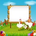 The nature view with the wooden board blank space and chicken`s family playing