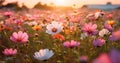 blooming field violet green sunset background meadow pink beautiful flower nature. Generative AI.