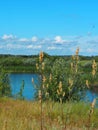 The nature of the Volga region.Russian rivers, tributaries of the Volga