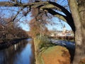 Nature is waiting for spring. Quiet dark water in the river.