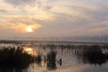 Nature early morning sunrise sky, trees and lake gelderland