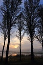 Nature early morning sunrise blue sky and trees