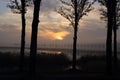 Nature early morning sunrise sky and trees gelderland