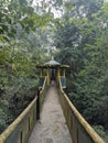 Nature walk on bridge pathway, Kulgi, Dandeli, Karnataka Royalty Free Stock Photo