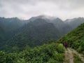 Nature walk and morning walk trekking view Dhanaulti mountain Uttarakhand india