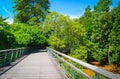 Nature Walk Singapore Royalty Free Stock Photo