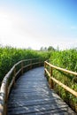 Nature Walk Trail Royalty Free Stock Photo