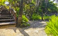 Tropical natural walking path palm trees Tulum Mayan ruins Mexico Royalty Free Stock Photo