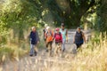 Nature, walking and senior group hiking in forest for exercise, health and wellness with cardio outdoor workout. Fitness Royalty Free Stock Photo