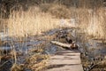 Nature walking trail. Flooded meadow, spring and weather Royalty Free Stock Photo