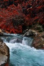 Calm and beauty waterfall