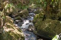 Nature with waterfall and stream in Itacare Royalty Free Stock Photo