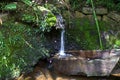 A source of natural water in the environment. falling water, stones with green slime, wooden box. Sao Paulo Botanical Garden