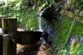 A source of natural water in the environment. falling water, stones with green slime, wooden box. Sao Paulo Botanical Garden