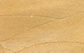 Nature wave pattern on sand beach Royalty Free Stock Photo