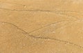 Nature wave pattern on sand beach Royalty Free Stock Photo