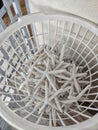 White, dried starfish in a white plastic basket, sea nature, Greek tourist town, holiday souvenir Royalty Free Stock Photo