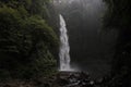 Nature wild waterfall forest bali Royalty Free Stock Photo