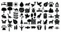 Nature and Wildlife Isolated Vector Icons set which can easily modify or edit