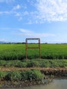 Nature window that introduced us to them,blue sky,green plants,and all that contras colour can always make people relax