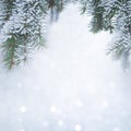 Nature Winter background with snowy pine tree branches Royalty Free Stock Photo