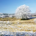 nature in winter, DÃÂ©partement du Tarn, France Royalty Free Stock Photo