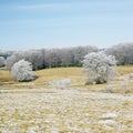 nature in winter, DÃÂ©partement du Tarn, France Royalty Free Stock Photo