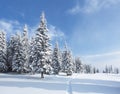 Winter landscape. Lawn covered with snow. High mountains. A snow covered meadow with a shoe trodden path. Snowy background.