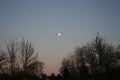 The moon is in the sky over a beautiful December landscape. Berlin, Germany Royalty Free Stock Photo