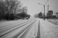 Nature in winter scene with snow