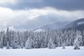 Nature winter scenery. High mountain. Pine trees in the snowdrifts. Lawn covered in snow. Foggy forests. Snowy background.