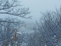 Nature during winter. Snow-covered branches of trees, ground covered with a layer of white snow. Royalty Free Stock Photo