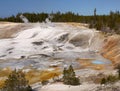 Nature Wonders, Yellowstone National Park, Wyoming Royalty Free Stock Photo