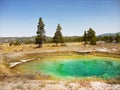 Nature Wonders, Yellowstone National Park, Wyoming Royalty Free Stock Photo