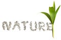 Nature word art from a stone. Royalty Free Stock Photo