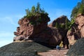 Nature work at Hopewell Rocks Park