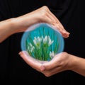 Nature is in your hands.The palms of a person above and below gently hold a shining ball with fresh flowers Royalty Free Stock Photo