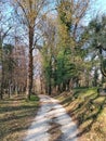 Nature a Zugliano prov di Vicenza Italy