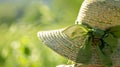 A natureinspired hat with a leafpatterned ribbon whipping in the strong summer wind Royalty Free Stock Photo