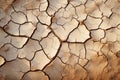 Natures alarm Cracked, dried soil in desert speaks of climate changes severity