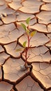 Natures alarm Cracked, dried soil in desert speaks of climate changes severity