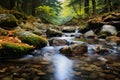 Natures artistry Close up of a forest stream with autumn hues