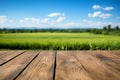 Natures beauty Wooden floor, green rice fields, and clear blue sky