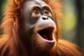 Natures call young orangutan expresses itself loudly in the wild