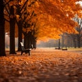 Natures canvas a park adorned with vivid autumnal orange hues