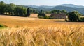 Natures canvas wheat field, mountains, house. Peaceful landscape Royalty Free Stock Photo