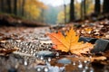 Natures Carpet Colorful leaves blanketing the forest - stock photo concepts