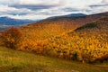 Natures colors in the mountains during the fall season.