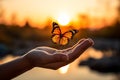 Natures embrace woman holds a butterfly on hand during sunset